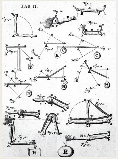 *보렐리의 관절 삽화 : 기계적 철학자인 보렐리는 인체의 각 기관이 작동하는 원리를 기계에 빗대 설명했다