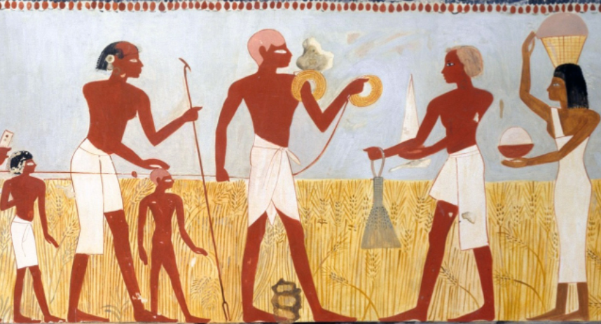 * 고대 이집트에서 밧줄로 땅의 면적을 측량하는 모습
