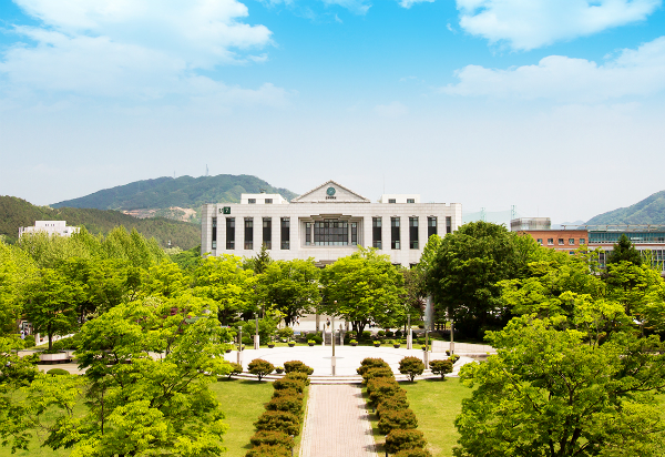 2024학년도 건국대 글로컬 수능 정시 학과별 경쟁률 및 백분위컷