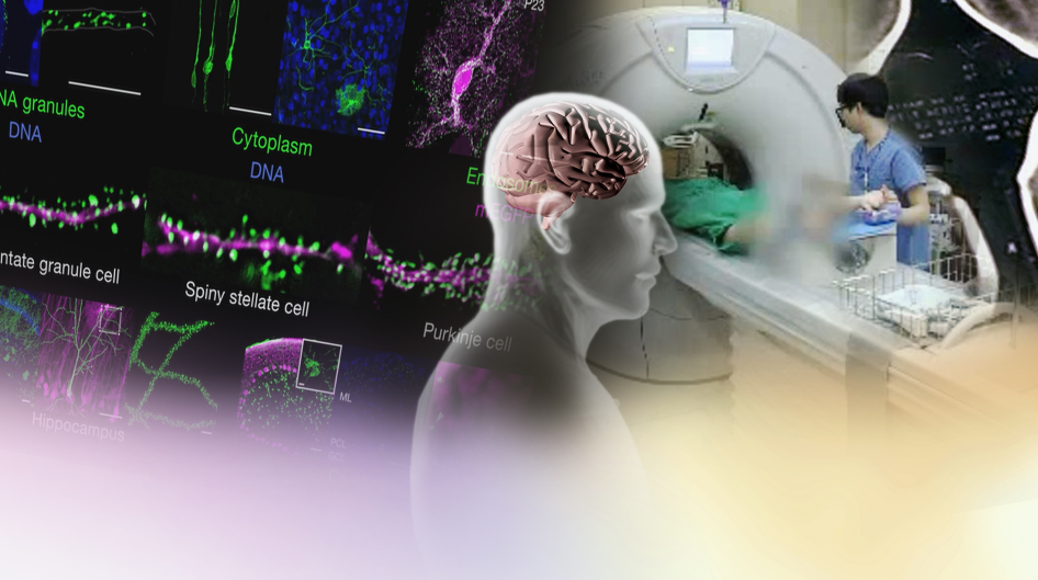 [출처=연합뉴스]