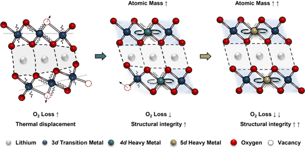 [출처=경북대/왼쪽 그림은 일반적인 층상 구조를 보여주며, 이 경우 원자들의 진동으로 인해 구조가 쉽게 뒤틀리고 산소가 격자 밖으로 빠져나가기 쉬움. 그러나 오른쪽으로 갈수록 무거운 원소인 Nb와 Ta가 도입되면서 원자 진동이 줄어들어 구조의 뒤틀림이 완화되고, 동시에 무거운 원소가 산소를 강하게 붙잡아 격자 내부에 안정적으로 머물게 함. 이와 같은 효과는 산소 손실을 억제하고 전체 구조를 더욱 안정화하는데 중요한 역할을 함]