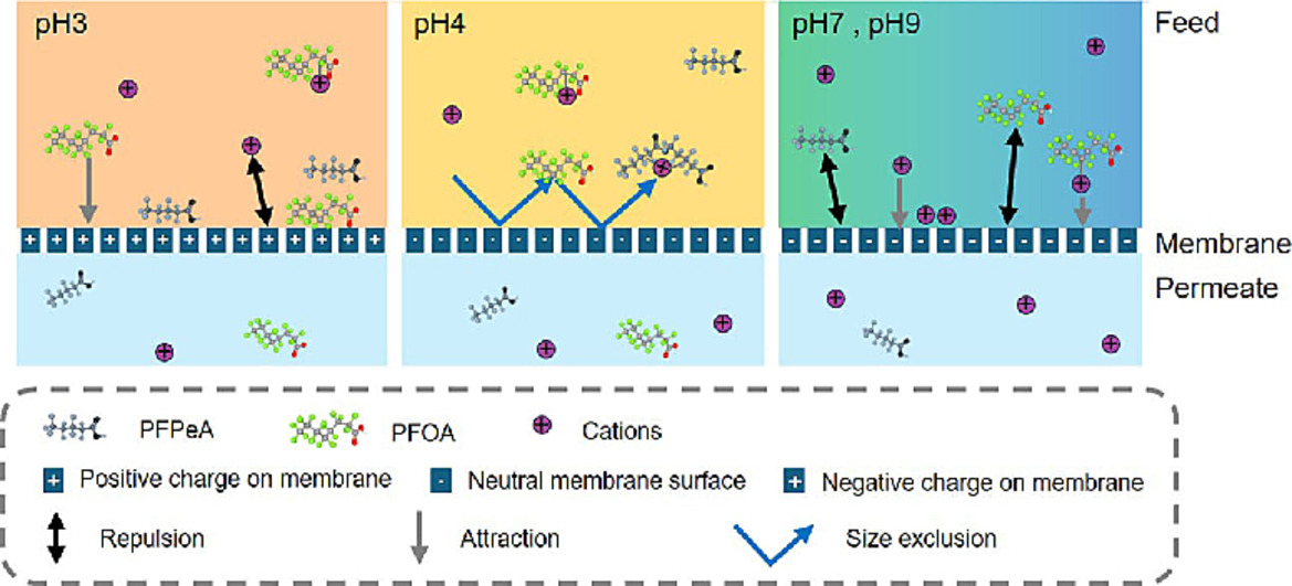 [사진=건국대 연구 관련 그림]