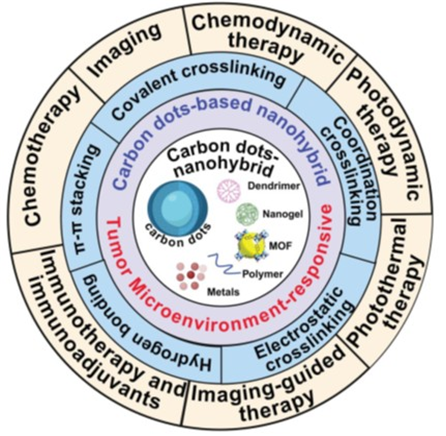 [사진=중앙대/영상 및 다양한 치료 전략을 지능적으로 통합할 수 있는 종양 미세환경 반응형 CD 기반 나노하이브리드 이미지]