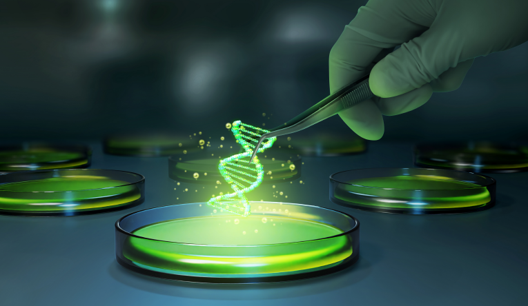 [사진=클립아트코리아]