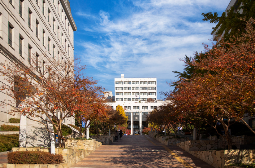 [사진=숙명여대]