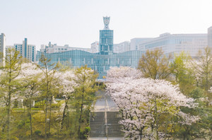 세특 평가, "3요소 통합형 기록"이 대입 평가의 핵심