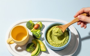 식품영양학과 합격생 세특, 무엇이 달랐나