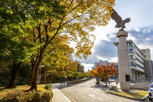학생부종합전형, 왜 떨어졌을까? 불합격 사례로 본 평가 포인트