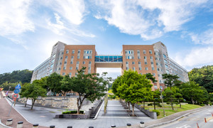 2027 고려대 세종 학생부교과 합격컷 및 경쟁률, 충원인원
