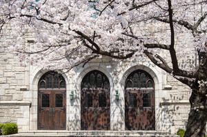 [수시 특집] 2027학년도 이화여대 수시 주요사항과 변경사항