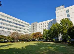 수능 직전, 가장 약한 과목부터 공부해야 할까?…수시 지원서에 답이 있다
