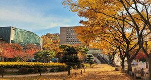 [정시분석] 숭실대, 경쟁률보다 충원 흐름 주목… 가·나·다군 지원전략 달라야